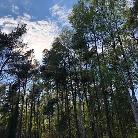 Nyaraló Lawendowe 70m