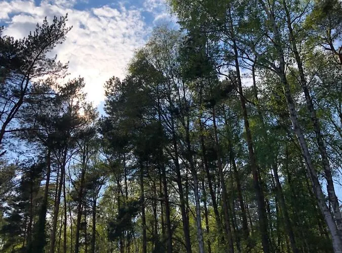 別荘 Lawendowe 70m